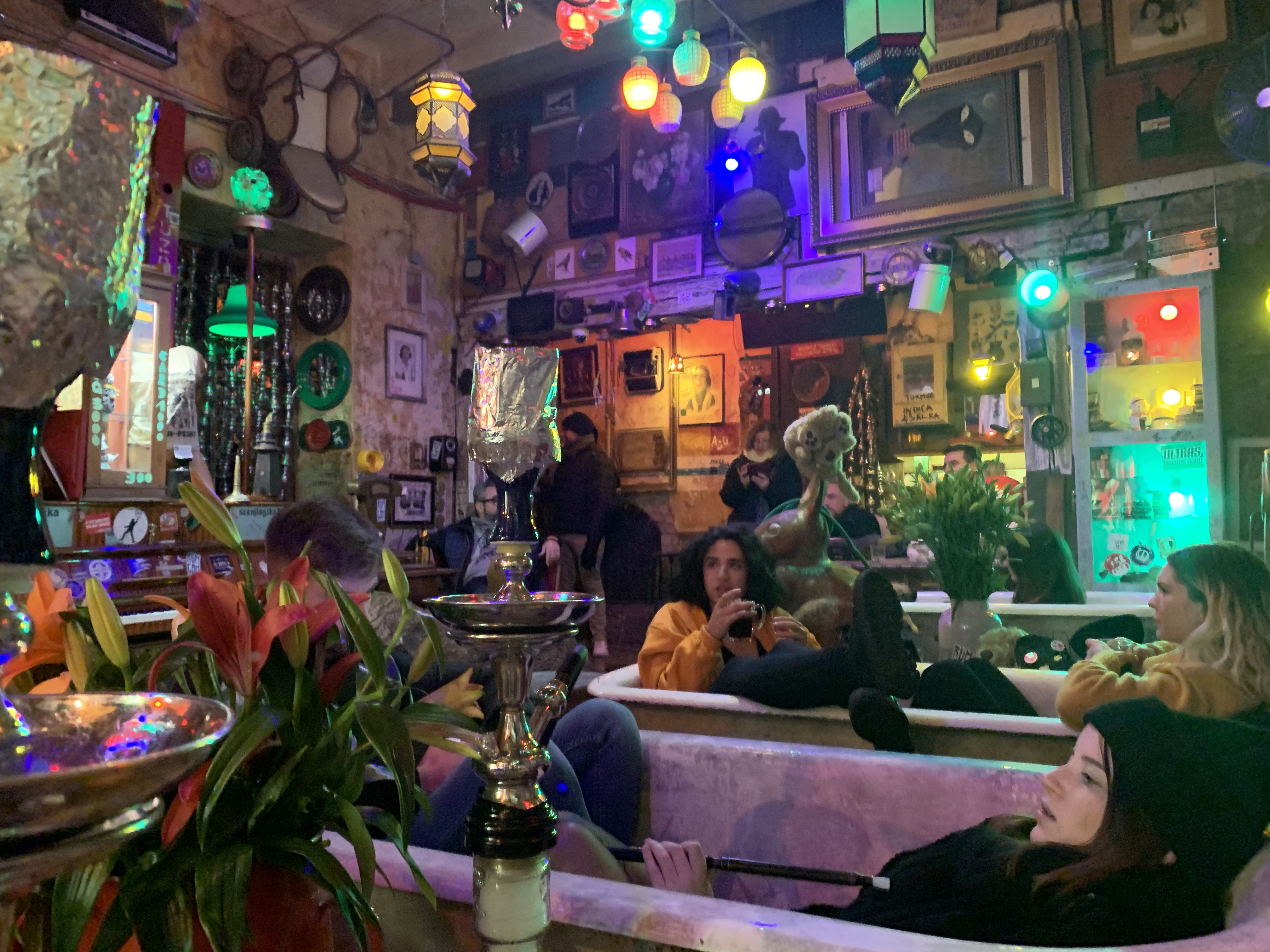 v240KYS5REShTmAPLqHEWA